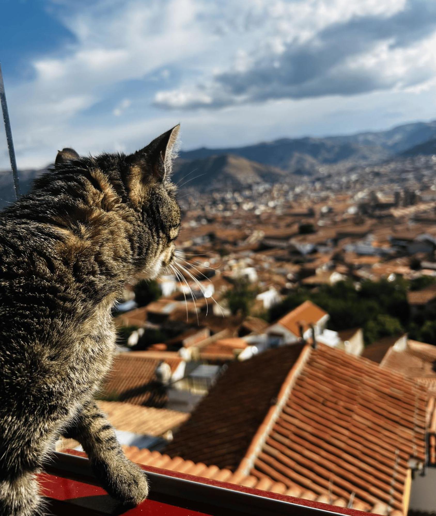 Summit Viewpoint House San Blas Cusco Exteriör bild
